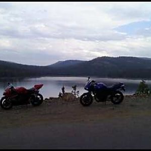 FZ6 Forum 4th Photo Contest