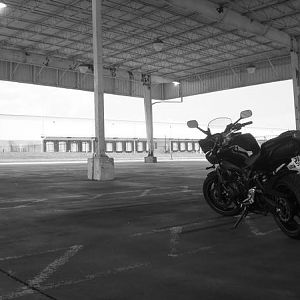 YamahaMAXDRPMs