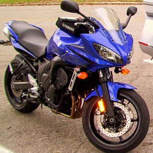 A real beauty!