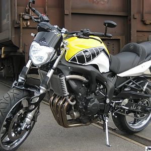 Dutch FZ6N