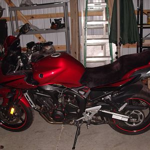 2007 fz6
