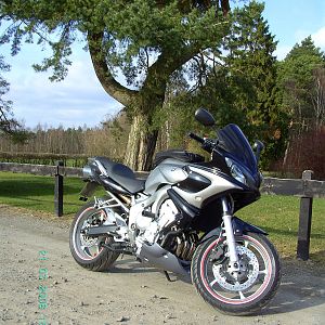 bugsterkiton's FZ6