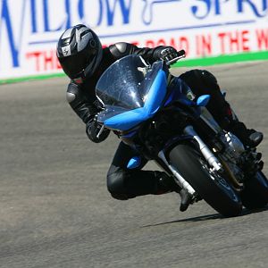 Willow Springs Track Day