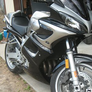 31