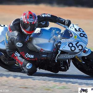 FZ6 Cup