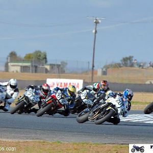 FZ6 Cup