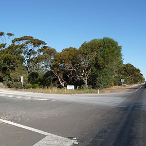 Fork in the road!