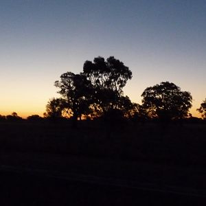 sunset in outback SA