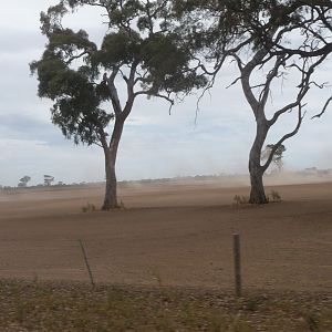 P1080344_drought_