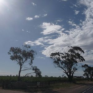 Aussie outback!