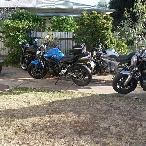 THE sa fIZZERS