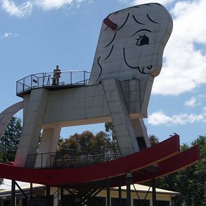 the big rocking horse!