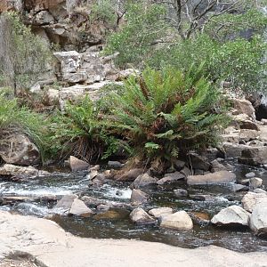 The Grampians
