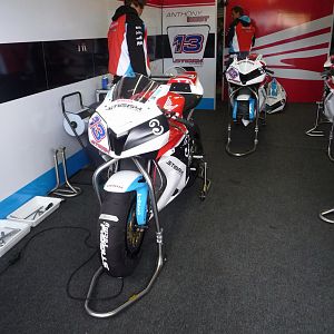 westie's bike