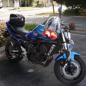 toy run 08