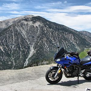 Solo Run