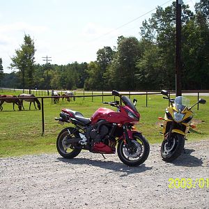 lakeshore_dr_013