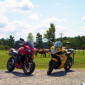 lakeshore_dr_0141