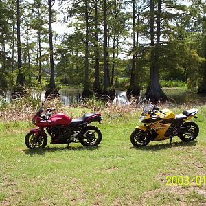 lakeshore_dr_021
