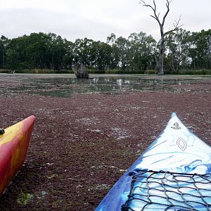 River Muray - Riverland