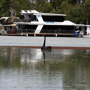 River Muray - Riverland