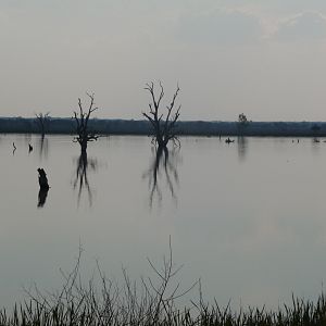 lake bonney -south australia