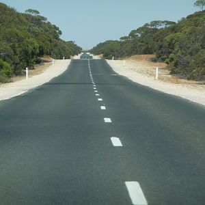 Boring Road - Outback South Australia