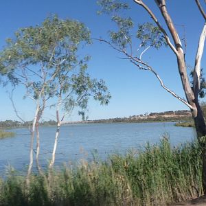 Lagoon