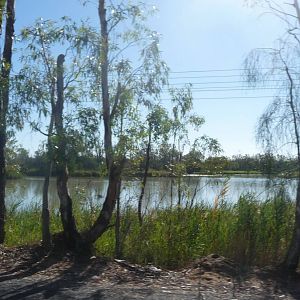 Lagoon