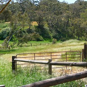 Adelaide Hills