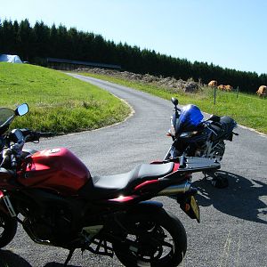 trier39