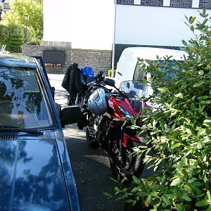 trier41