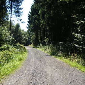 trier66