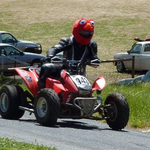 Lol! Elmo rides again!