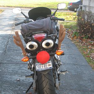 rudolph