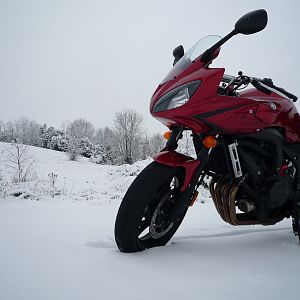 Posing in the snow