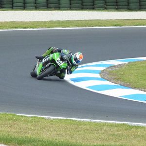 P1030122_resize_crop