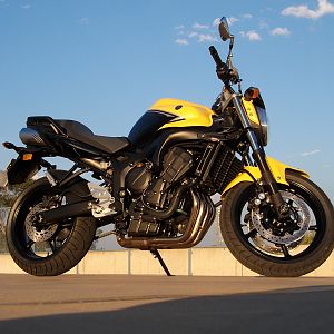 day i took the beast home