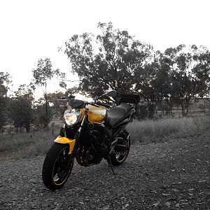 just off the road in the local twisties