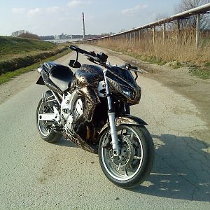 fz6 streetfighter