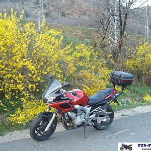 ALIM2883