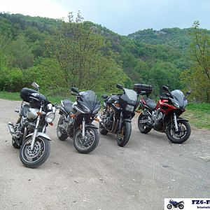 ALIM2995