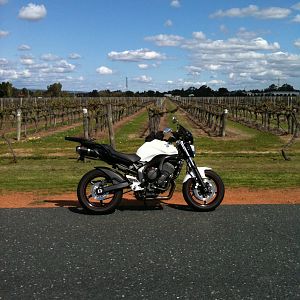 Swan Valley Vineyard