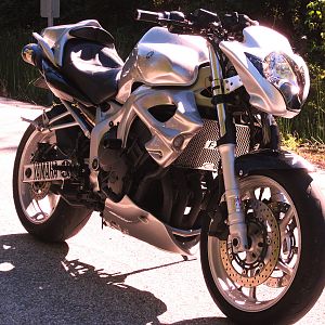 Early Morning Ride