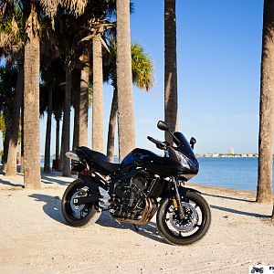2009 FZ6