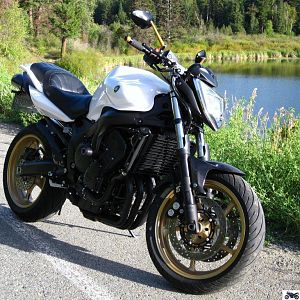 2007 FZS converted to FZ6N