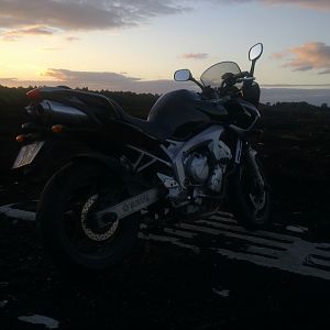 Fz6_bog_2