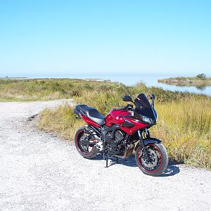 Secret Hunting Spot