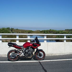 Creek Bridge