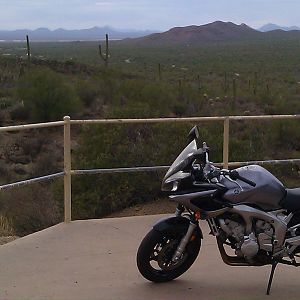 Grims FZ6